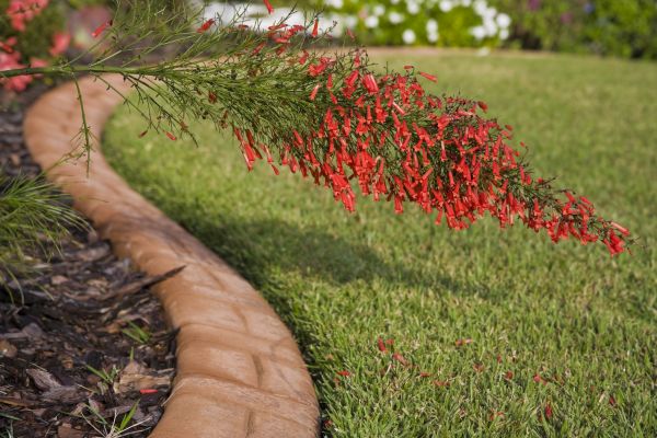 Brick Edging in Warwick
