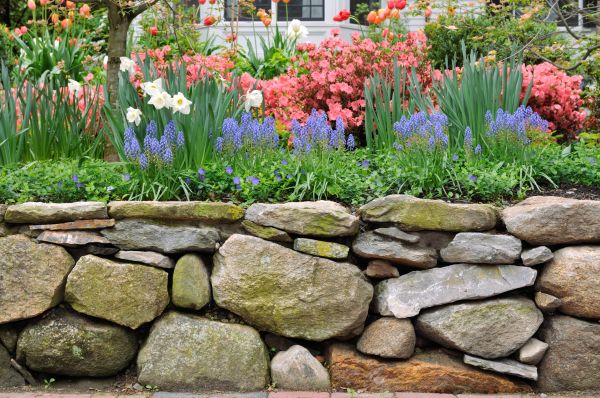 Stone Wall Hardscaping in Warwick