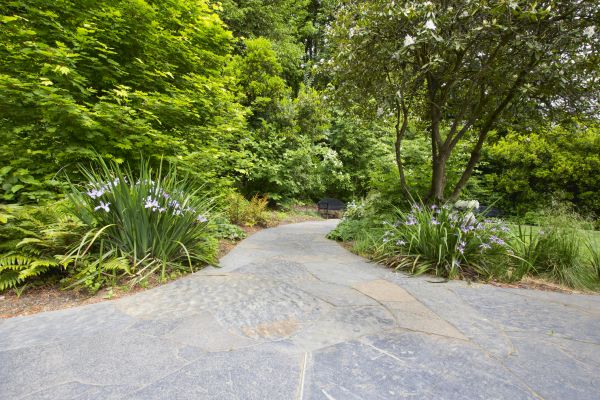 Stone Hardscape Service in Warwick
